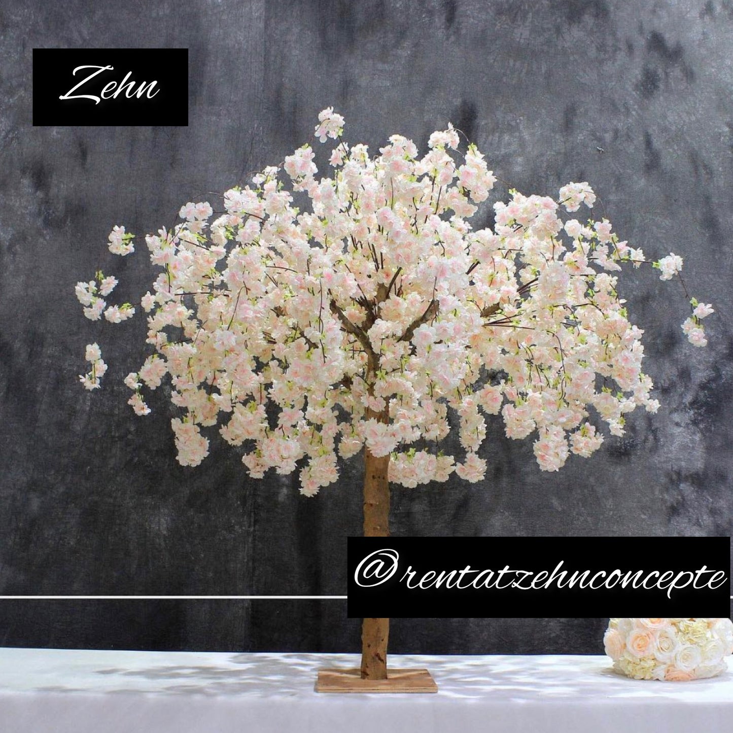 Cherry Blossom Trees