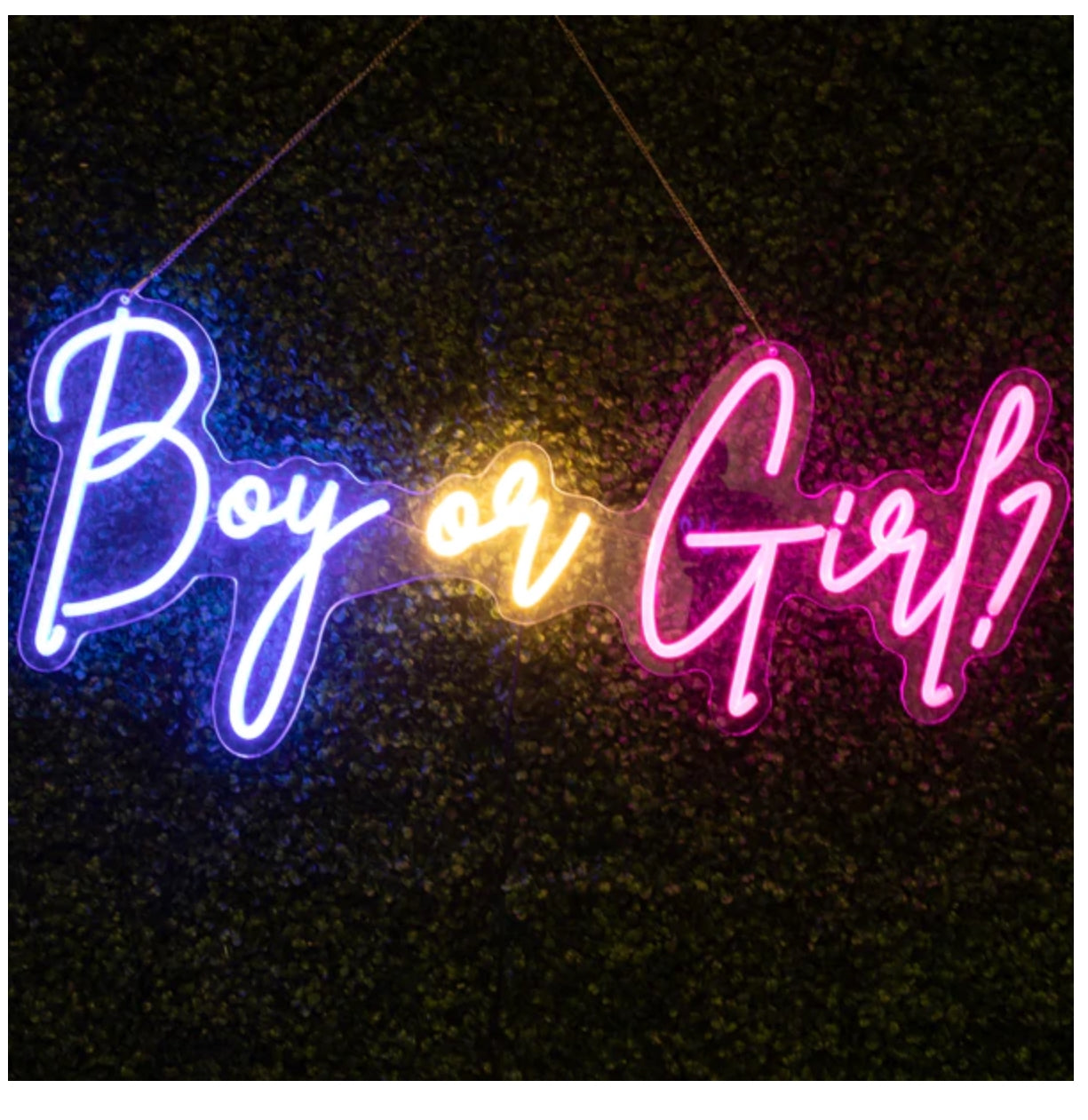 NEON SIGNS (oh baby, better together, quinceanera and more